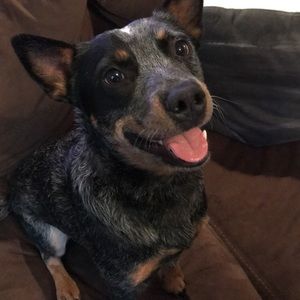 Meet your Posher, Kiana